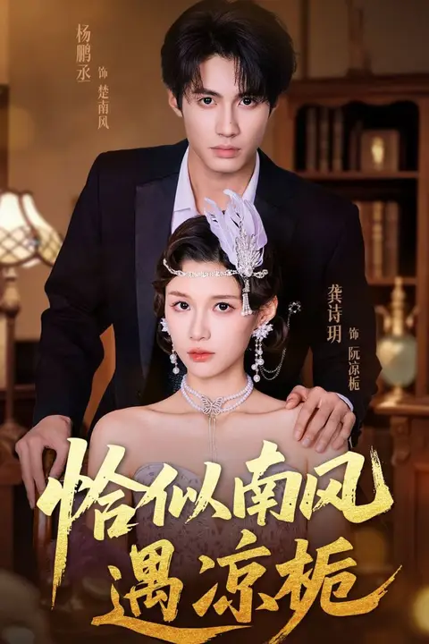 《恰似南风遇凉栀》封面