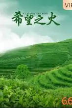 《希望之火》封面
