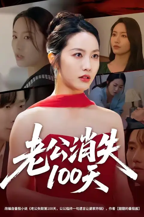 《老公消失100天》封面