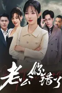 《老公你错了》封面