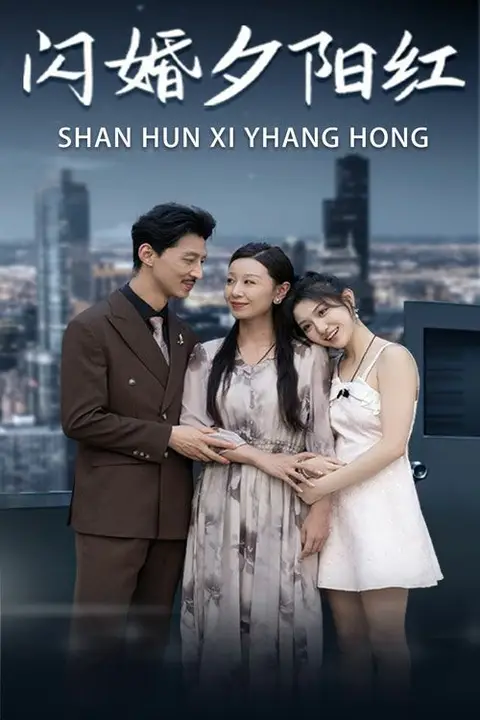 《闪婚夕阳红》封面