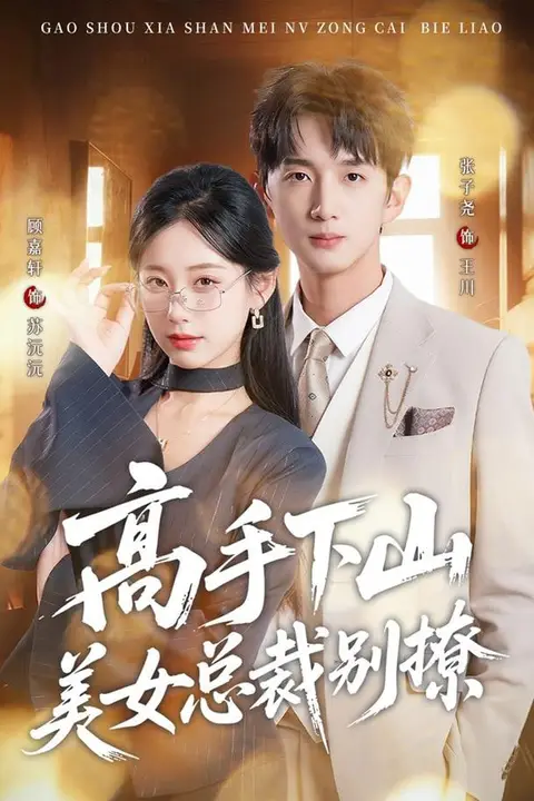 《高手下山美女总裁别撩》封面