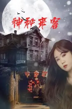 《神秘来客》封面