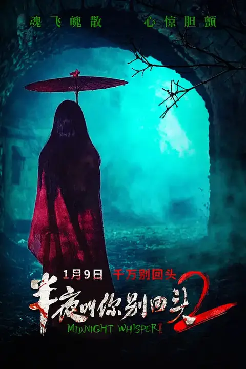 《半夜叫你别回头2》封面
