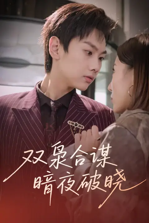 《双枭合谋暗夜破晓》封面