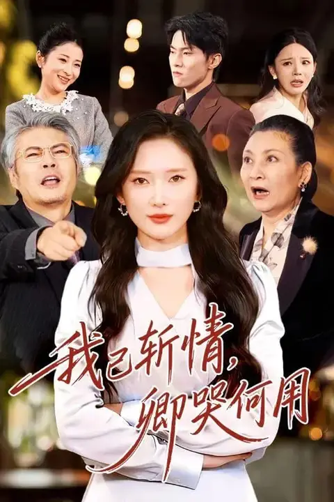 《我已斩情，卿哭何用》封面