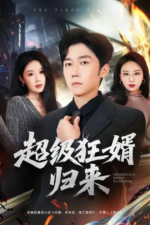 《超级狂婿归来》封面