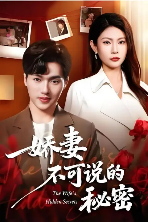 《娇妻不可说的秘密》封面