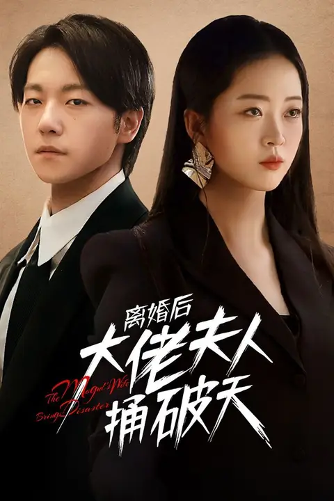 《离婚后大佬夫人捅破天》封面