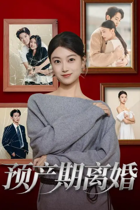 《预产期离婚》封面