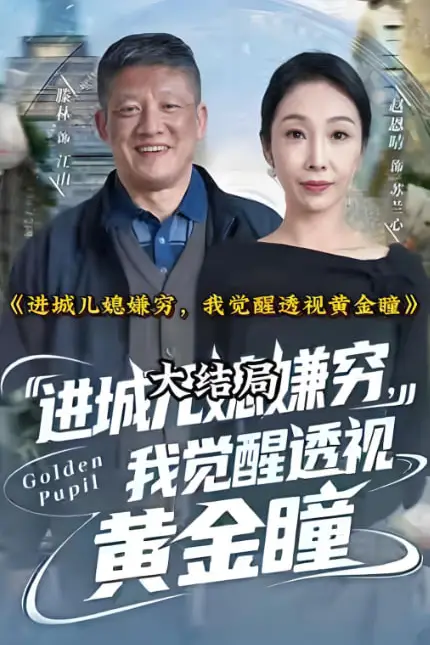 《进城儿媳嫌穷，我觉醒透视黄金瞳》封面