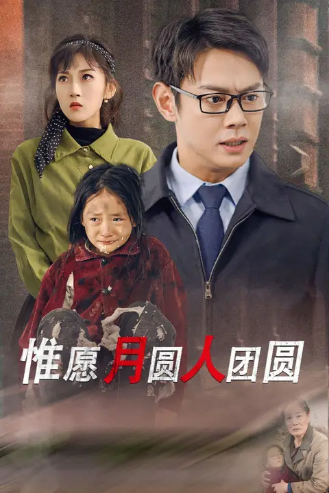 《惟愿月圆人团圆》封面