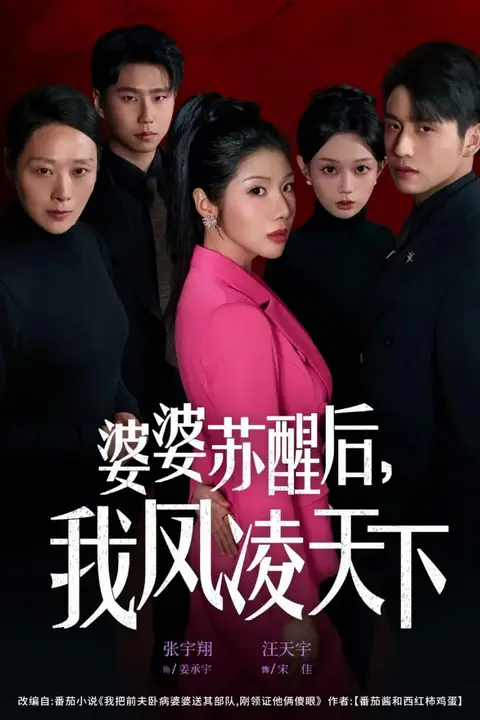 《婆婆苏醒后,我凤凌天下》封面