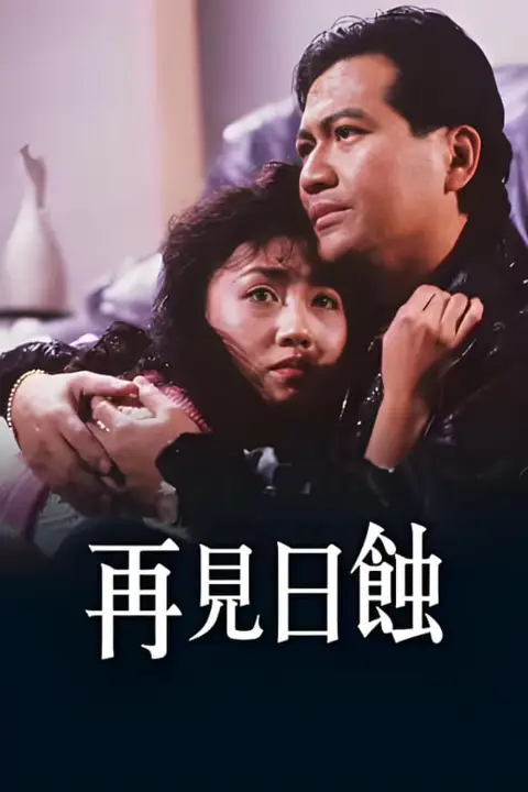 《再见日蚀》封面