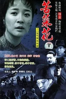 《苦菜花 2004》封面