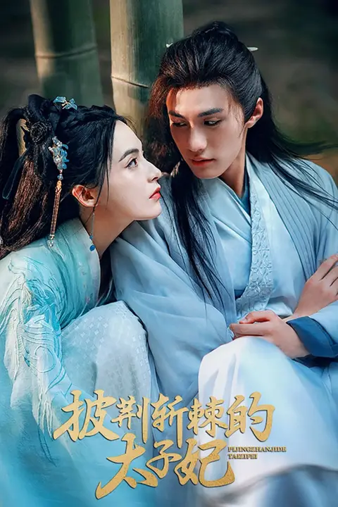 《披荆斩棘的太子妃》封面