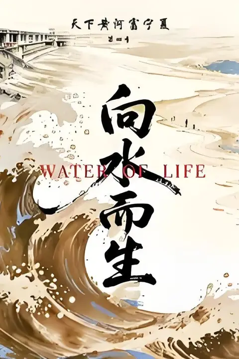 《天下黄河富宁夏 第4季》封面