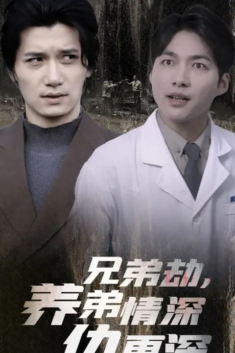 《兄弟劫养弟情深仇更深》封面