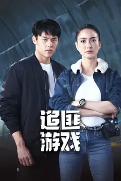 《追匪游戏》封面