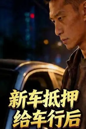 《新车抵押给车行后》封面