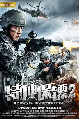 《特种保镖2》封面