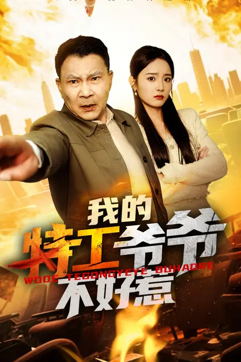 《我的特工爷爷不好惹》封面
