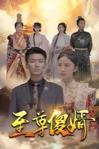 《至尊傻婿》封面