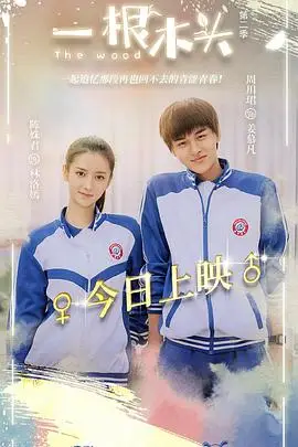 《一根木头 第二季》封面