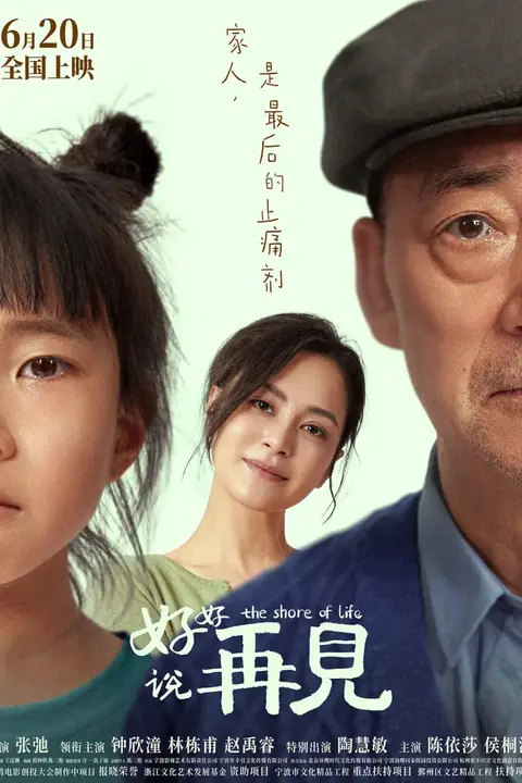 《好好说再见》封面