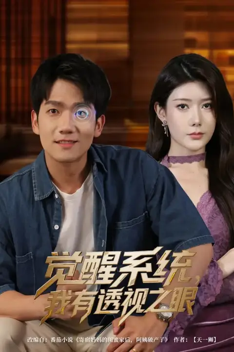 《觉醒系统,我有透视之眼》封面
