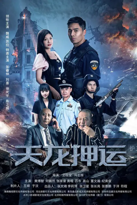 《天龙押运》封面