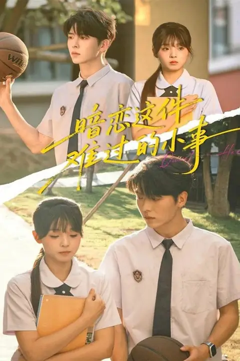 《暗恋这件难过的小事》封面