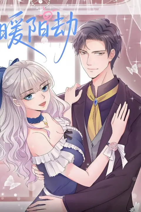 《暖阳劫》封面