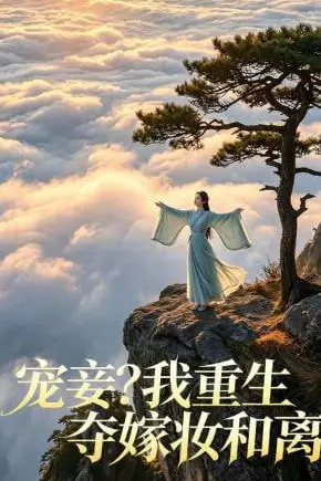 《宠妾？我重生夺嫁妆和离》封面