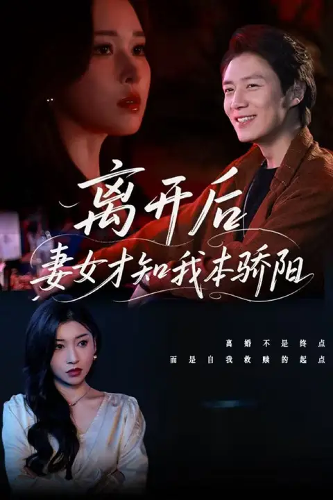 《离开后妻女才知我本骄阳》封面