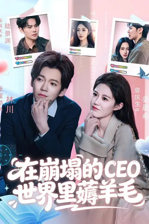 《在崩塌的CEO世界里薅羊毛》封面