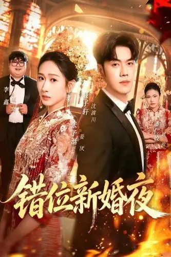 《错位新婚夜》封面