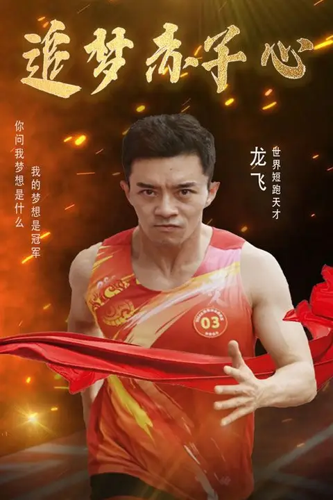 《追梦赤子心》封面