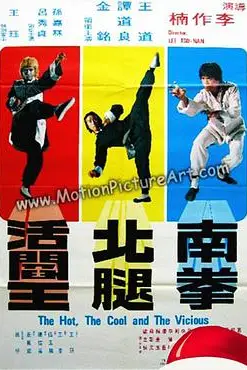 《南拳北腿活阎王》封面