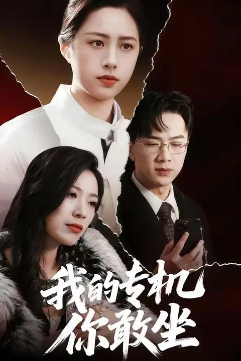 《我的专机你敢坐》封面
