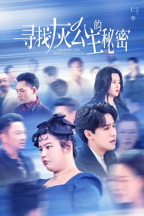 《寻找灰公主的秘密》封面