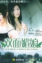 《双面媚娘》封面