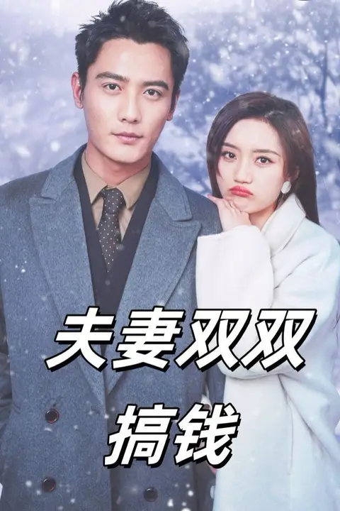 《夫妻双双搞钱》封面