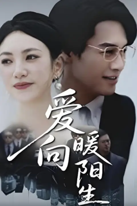 《爱向暖阳生》封面
