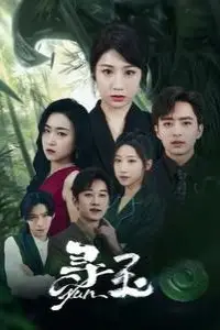 《寻玉》封面
