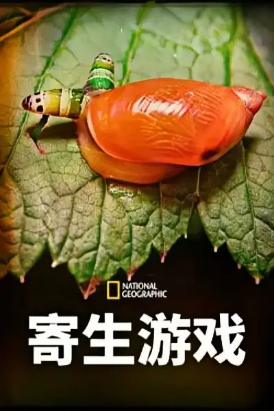 《寄生游戏 第一季 英文版》封面