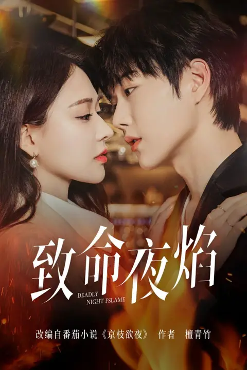《致命夜焰》封面