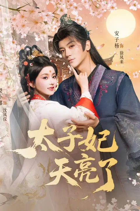 《太子妃天亮了》封面