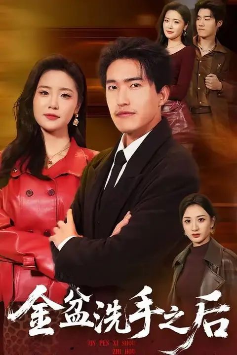 《金盆洗手之后》封面