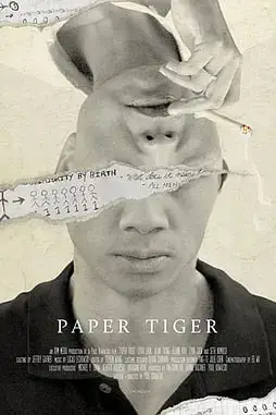 《纸老虎》封面